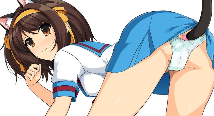 【画像】涼宮ハルヒ、ガチで面白いｗｗｗｗｗ