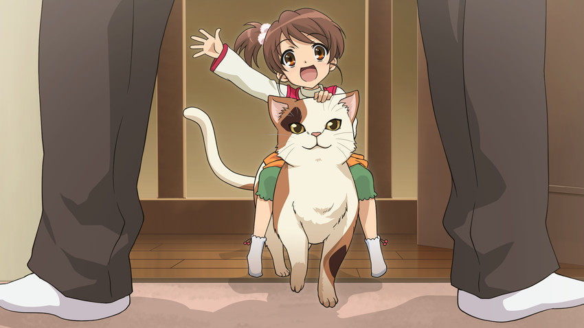 【画像】涼宮ハルヒで1番可愛いキャラクターｗｗｗｗｗ