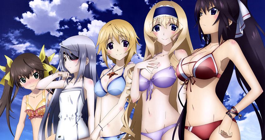 【画像】インフィニット・ストラトスっていう美少女アニメ覚えてるかｗｗｗｗｗ