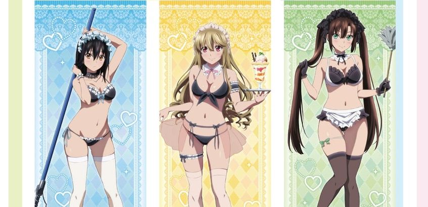 【画像】「メイドビキニ」とかゆうガチでどこに需要があるのかわからないコスｗｗｗｗｗ