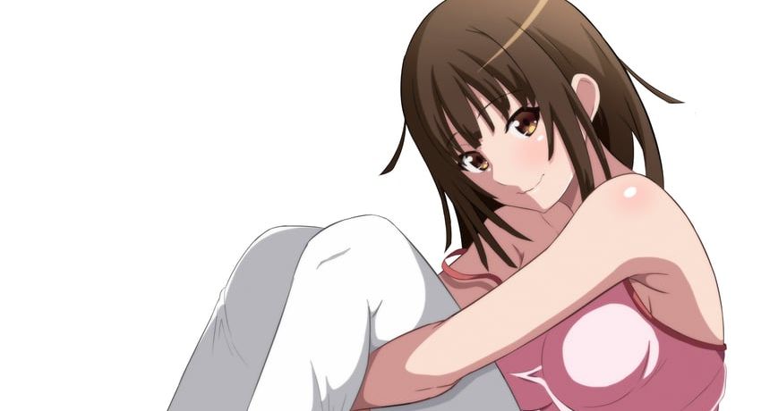 【悲報】化物語のアニメの内容覚えてないから誰か教えてｗｗｗｗｗ